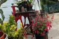 Photo of the garden where applicable